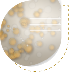 How it works image 4