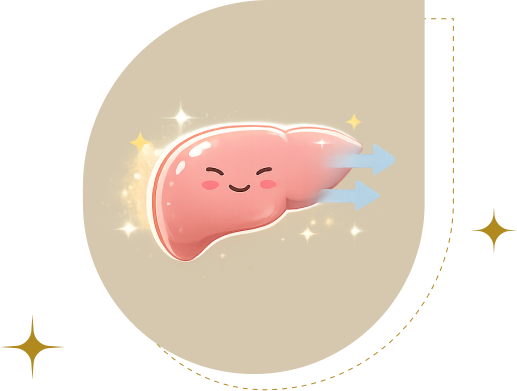 Supporting Liver Health with Essential Phospholipids